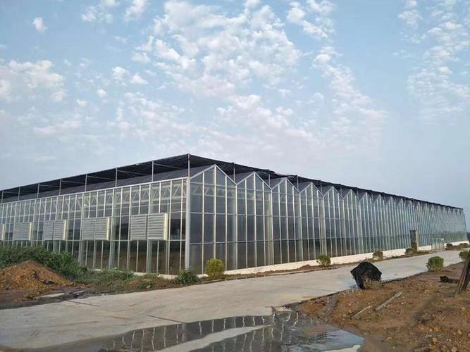 植物工廠的技術(shù)有哪些優(yōu)勢？